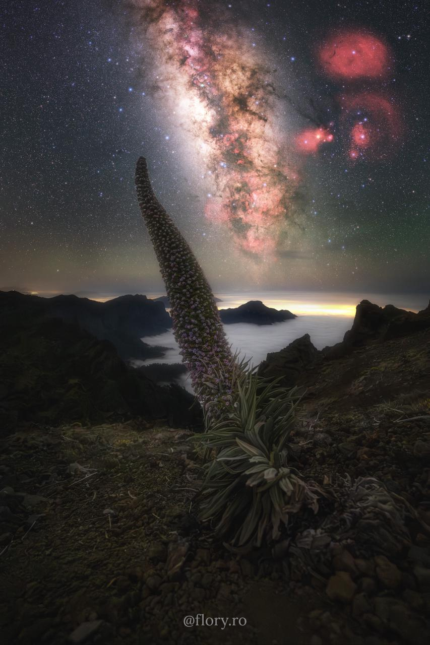 The Tajinaste Reaching Toward the Milky Way