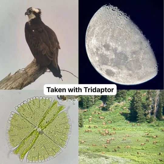 Tridaptor – 3-Axis Smartphone Telescope &amp; Digiscoping Adapter
